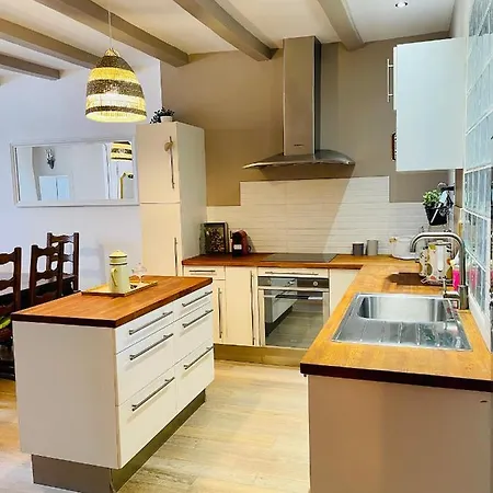 Maison Gabriel - Logement Charmant Au Coeur De La Cite Medievale - T3 75M2 Albertville Extérieur photo